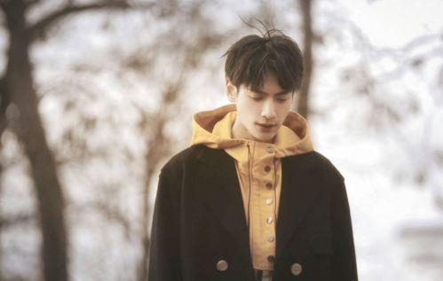 娱乐大爆料王俊凯罗云熙,揭秘明星幕后故事  第2张